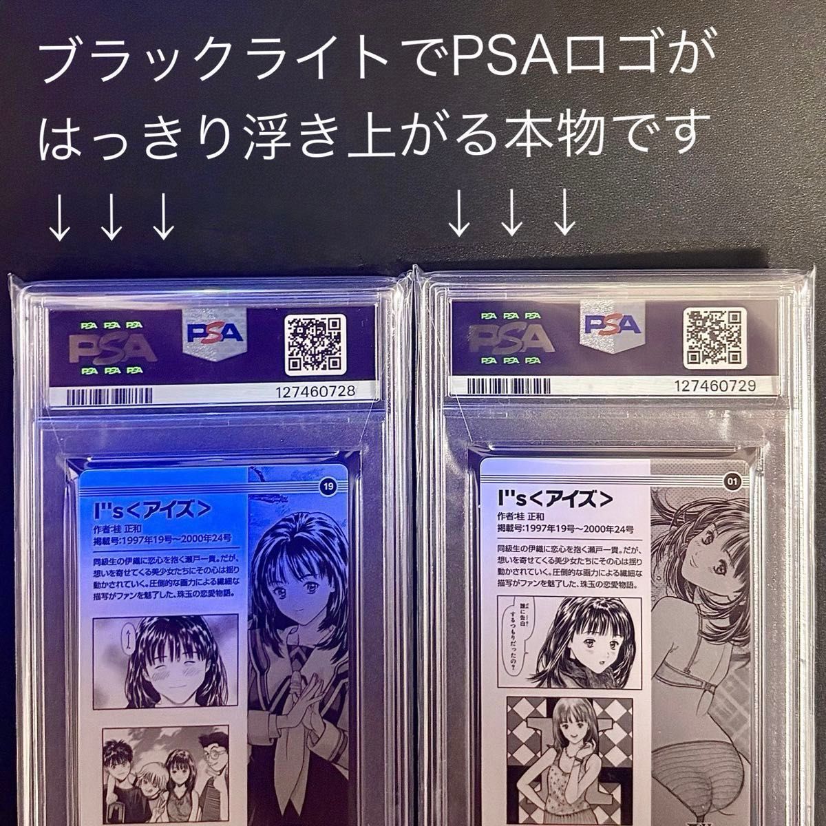 最遊記 フェスタ 2009 限定 ポストカードセット 全48種セット レア