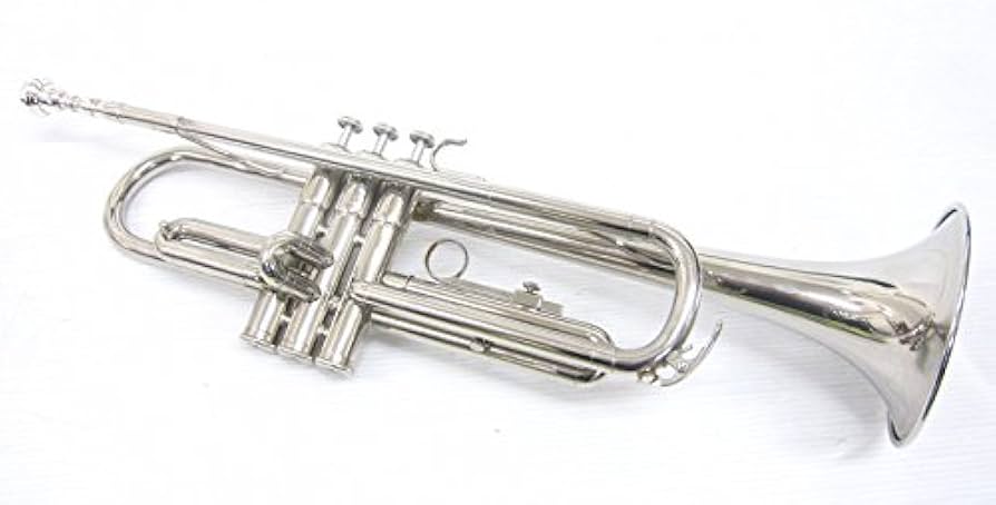 Amazon | YAMAHA ヤマハ YTR-1310 トランペット | 金管楽器